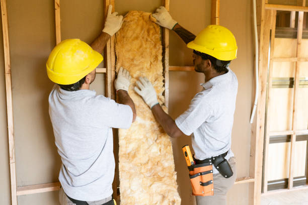 Trusted Grayville, IL Insulation Installation & Removal Experts